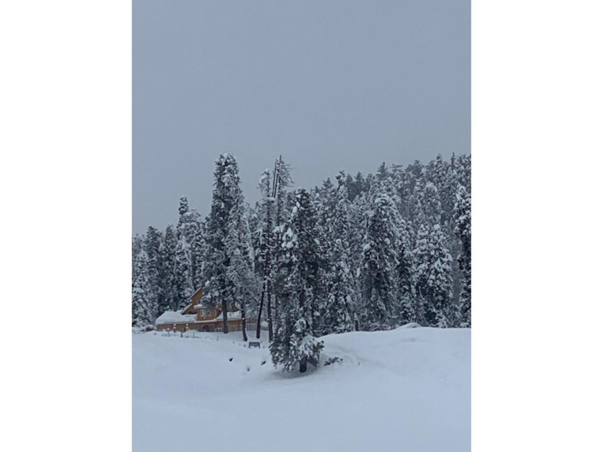 Gulmarg Ski Hill Resort Exterior photo